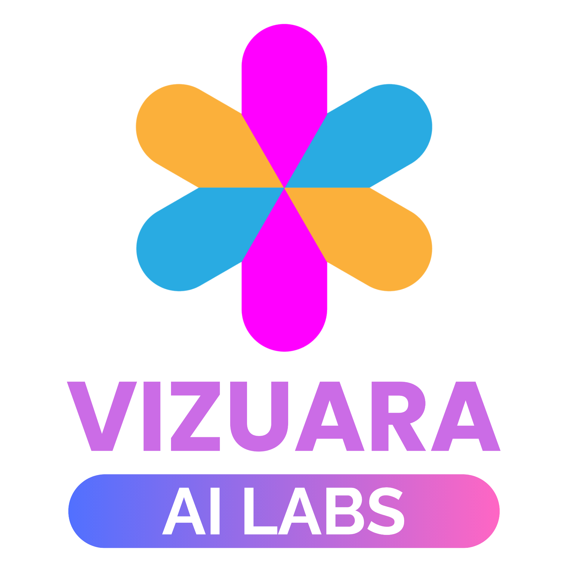 Vizuara AI Labs